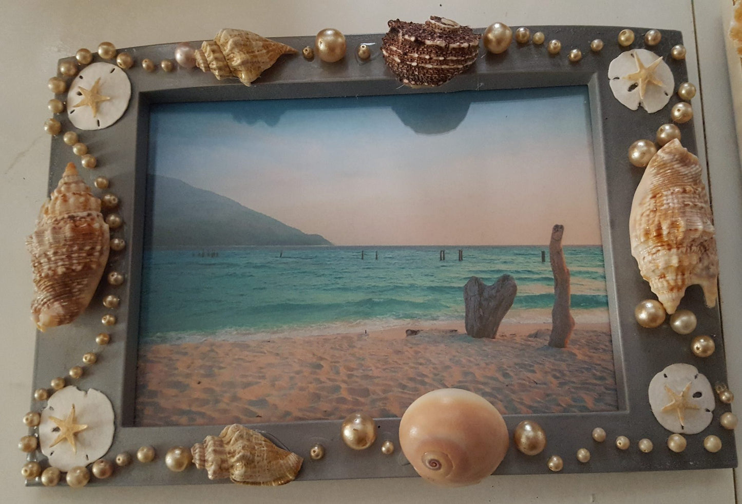 Seashell Picture Frames - #3