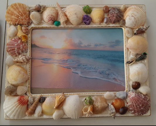 Seashell Picture Frames - #1